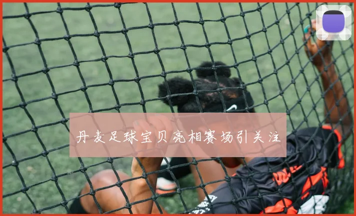丹麦足球宝贝亮相赛场引关注