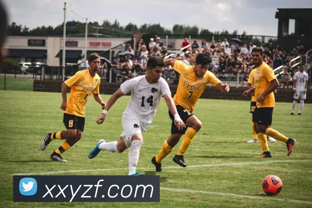 333体育(中国)官方网站 - 333 SPORTS服务体系